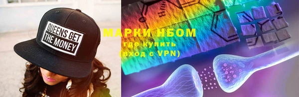 сатива Волоколамск