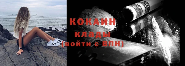 сатива Волоколамск