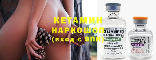 сатива Волоколамск