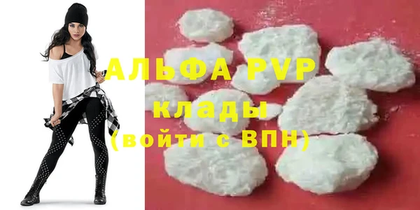 сатива Волоколамск