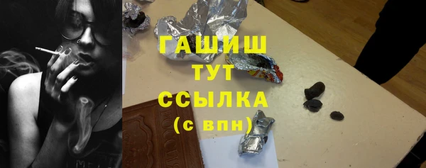 сатива Волоколамск
