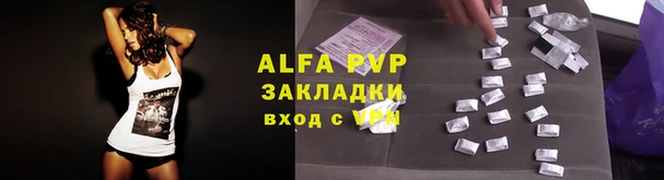 сатива Волоколамск
