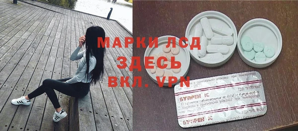 сатива Волоколамск