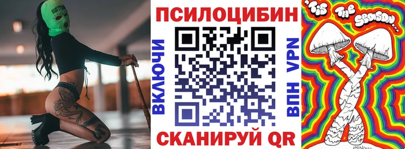 Галлюциногенные грибы Psilocybe  Вытегра 